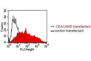 FACS analysis of BOSC23 cells using 4/3/17. (CEACAM1/5 anticorps)