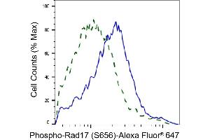 Validation of Rad17 knockdown using flow cytometry. (Recombinant RAD17 anticorps  (pSer656))