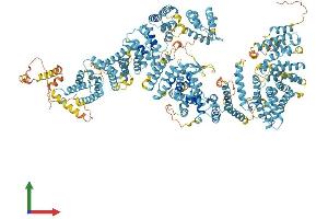 AlphaFold protein structure predicition of Human Recombinant FANCA Protein, UniprotID O15360