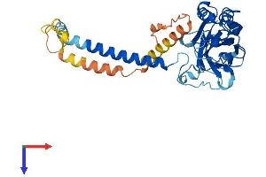 AlphaFold protein structure predicition of Mouse Recombinant Atp1b4 Protein, UniprotID Q99ME6