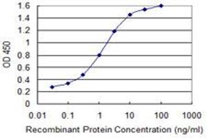 Detection limit for recombinant GST tagged GLS is 0. (Glutaminase anticorps  (AA 580-669))