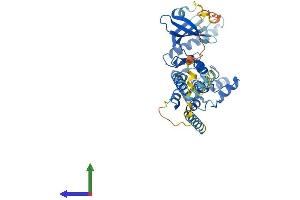 AlphaFold protein structure predicition of Mouse Recombinant Phkg2 Protein, UniprotID Q9DB30