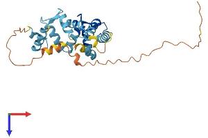 AlphaFold protein structure predicition of Mouse Recombinant Kcnip3 Protein, UniprotID Q9QXT8