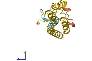 AlphaFold protein structure predicition of Human Recombinant TOR1AIP2 Protein, UniprotID Q9H496