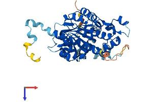 AlphaFold protein structure predicition of Mouse Recombinant Noxred1 Protein, UniprotID Q9D3S5