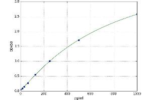 Orexin (OX) ELISA Kit
