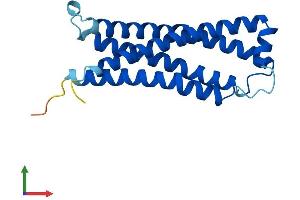 AlphaFold protein structure predicition of Mouse Recombinant Tmem205 Protein, UniprotID Q91XE8
