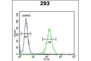 DZIP1 Antibody (Center) (ABIN652872 and ABIN2842565) flow cytometric analysis of 293 cells (right histogram) compared to a negative control cell (left histogram). (DZIP1 anticorps  (AA 568-596))