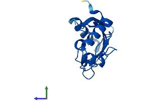 AlphaFold protein structure predicition of Human Recombinant UBE2L3 Protein, UniprotID P68036