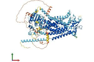 AlphaFold protein structure predicition of Human Recombinant ANO3 Protein, UniprotID Q9BYT9