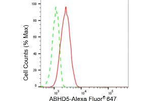anti-Abhydrolase Domain Containing 5 (ABHD5) antibody