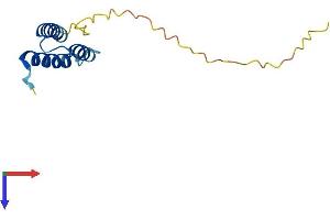 AlphaFold protein structure predicition of Human Recombinant SDHAF1 Protein, UniprotID A6NFY7