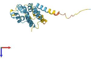 AlphaFold protein structure predicition of Mouse Recombinant Fadd Protein, UniprotID Q61160