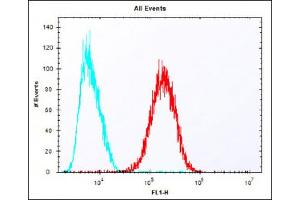 Overlay histogram showing HepG2 cells stained with (ABIN6243311 and ABIN6577816) (red line).