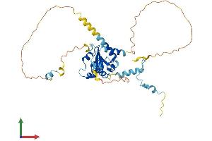 AlphaFold protein structure predicition of Human Recombinant CEP41 Protein, UniprotID Q9BYV8