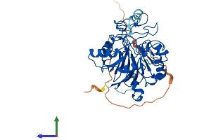 AlphaFold protein structure predicition of Human Recombinant NAPEPLD Protein, UniprotID Q6IQ20