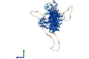 AlphaFold protein structure predicition of Mouse Recombinant Pds5a Protein, UniprotID Q6A026