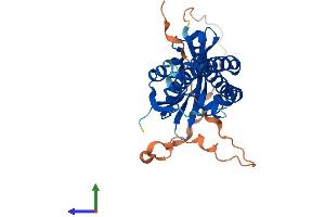 AlphaFold protein structure predicition of Human Recombinant NAT8L Protein, UniprotID Q8N9F0