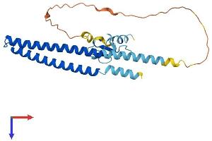 AlphaFold protein structure predicition of Mouse Recombinant Ing4 Protein, UniprotID Q8C0D7