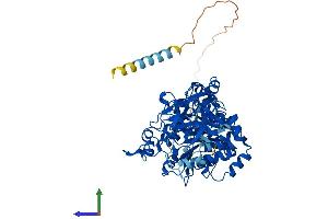 AlphaFold protein structure predicition of Human Recombinant GALNT2 Protein, UniprotID Q10471