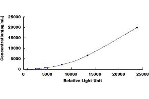 ELISA image for Chemokine (C-C Motif) Ligand 5 (CCL5) CLIA Kit (ABIN491817)