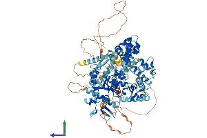 AlphaFold protein structure predicition of Mouse Recombinant Gtf2ird2 Protein, UniprotID Q99NI3