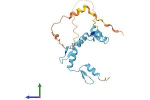 AlphaFold protein structure predicition of Human Recombinant ZFP41 Protein, UniprotID Q8N8Y5
