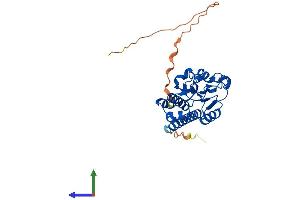 AlphaFold protein structure predicition of Mouse Recombinant Mrps2 Protein, UniprotID Q924T2