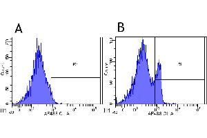 Flow-cytometry using anti-CD4 antibody MT310   Rhesus monkey lymphocytes were stained with an isotype control (panel A) or the rabbit-chimeric version of MT310 ( panel B) at a concentration of 1 µg/ml for 30 mins at RT. (Recombinant CD4 anticorps)