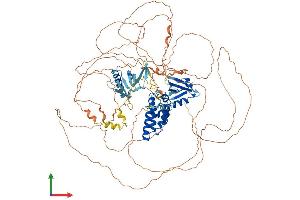 AlphaFold protein structure predicition of Mouse Recombinant Rgs3 Protein, UniprotID Q9DC04