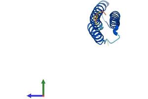 AlphaFold protein structure predicition of Mouse Recombinant Ahsp Protein, UniprotID Q9CY02