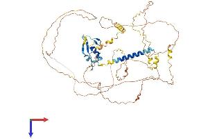 AlphaFold protein structure predicition of Mouse Recombinant Pja1 Protein, UniprotID O55176
