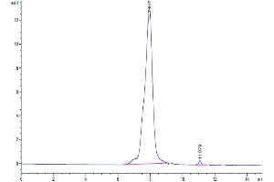 The purity of Biotinylated Human CDH17 is greater than 95 % as determined by SEC-HPLC.