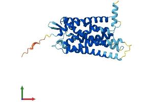 AlphaFold protein structure predicition of Mouse Recombinant Cysltr2 Protein, UniprotID Q920A1