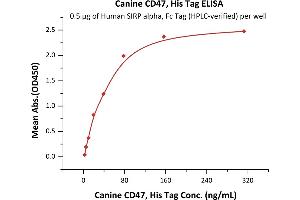 Immobilized Human SIRP alpha, Fc Tag (Hied) (ABIN2181766,ABIN2181765) at 5 μg/mL (100 μL/well) can bind Canine CD47, His Tag (ABIN6731247,ABIN6809863) with a linear range of 5-78 ng/mL (QC tested).
