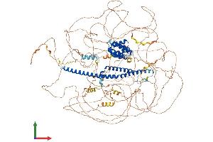 AlphaFold protein structure predicition of Mouse Recombinant Rprd2 Protein, UniprotID Q6NXI6