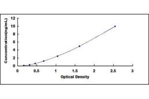Insulin Receptor Substrate 2 (IRS2) ELISA Kit