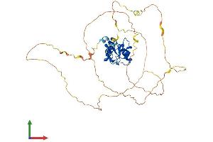 AlphaFold protein structure predicition of Mouse Recombinant Smap2 Protein, UniprotID Q7TN29