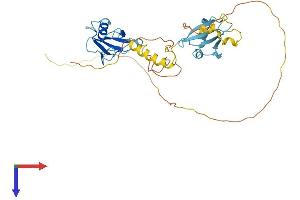 AlphaFold protein structure predicition of Human Recombinant DCX Protein, UniprotID O43602