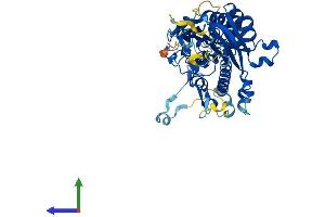 AlphaFold protein structure predicition of Human Recombinant CNOT6 Protein, UniprotID Q9ULM6