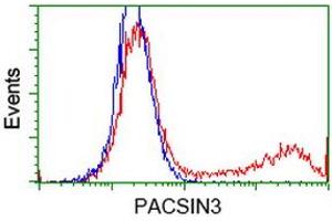 Image no. 3 for anti-Protein Kinase C and Casein Kinase Substrate in Neurons 3 (PACSIN3) antibody (ABIN1500013)