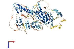 AlphaFold protein structure predicition of Human Recombinant SIN3A Protein, UniprotID Q96ST3