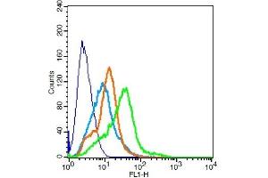 RSC96 probed with TPIA2/PTPRN Polyclonal Antibody, Unconjugated ( 	 ) at 3ug for 30 minutes followed by incubation with a conjugated secondary -FITC) (green) for 30 minutes compared to control cells (blue), secondary only (light blue) and isotype control (orange). (PTPRN anticorps  (AA 501-600))
