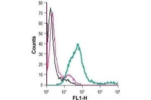 Cell surface detection of CRF1 in live intact human MEG-01 megakaryoblastic leukemia cells: (black line) Cells.