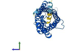 AlphaFold protein structure predicition of Mouse Recombinant Aqp5 Protein, UniprotID Q9WTY4