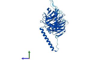 AlphaFold protein structure predicition of Mouse Recombinant Dcaf13 Protein, UniprotID Q6PAC3