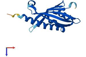 AlphaFold protein structure predicition of Human Recombinant NXT2 Protein, UniprotID Q9NPJ8