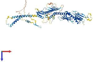 AlphaFold protein structure predicition of Human Recombinant MED17 Protein, UniprotID Q9NVC6