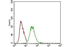 Flow cytometric analysis of HEK293 cells using DCN mouse mAb (green) and negative control (red). (Decorin anticorps  (AA 263-324))