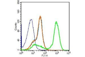 Mouse Spleen Cells probed with P2Y10 Polyclonal Antibody, PE Conjugated (bs-12070R-PE)(green) at 1:100 for 30 minutes compared to unstained cells (blue), secondary only (light blue), and isotype control (orange).